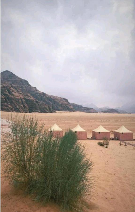 Ammar Rum Camp And Tours ワディ ・ラム エクステリア 写真